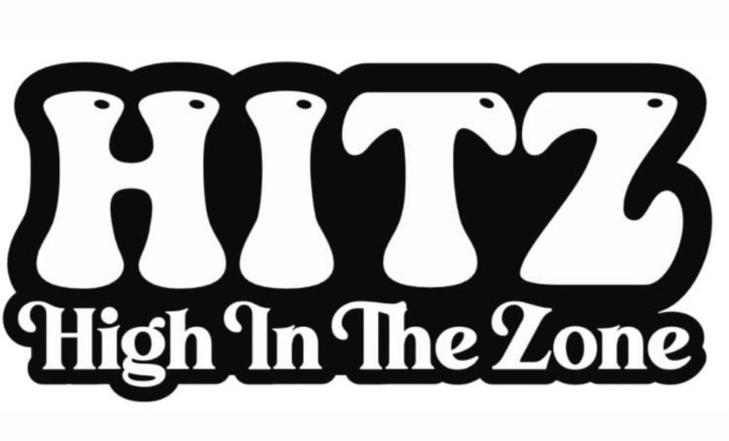 hitz disposable
