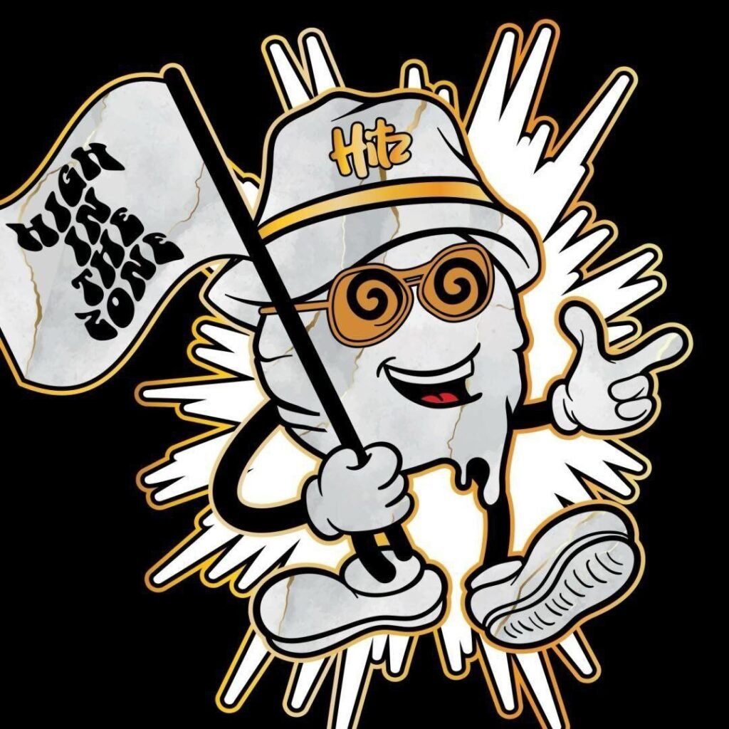 https://hitzdisposable.org/